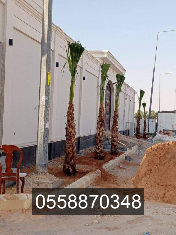 مقاول شبوك ونخيل 0558870348